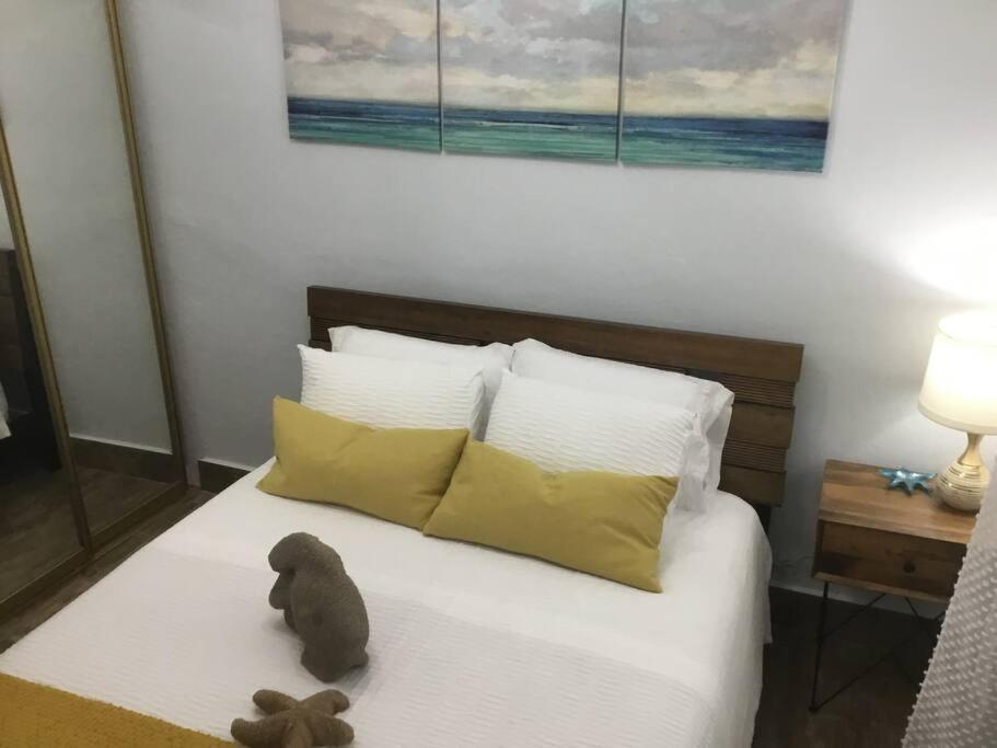 One Bedroom Apt 30 Steps From Prime Beach Generator Parking Included San Juan Exteriör bild