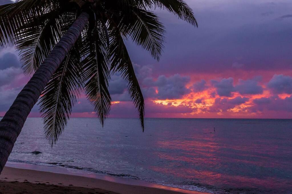One Bedroom Apt 30 Steps From Prime Beach Generator Parking Included San Juan Exteriör bild